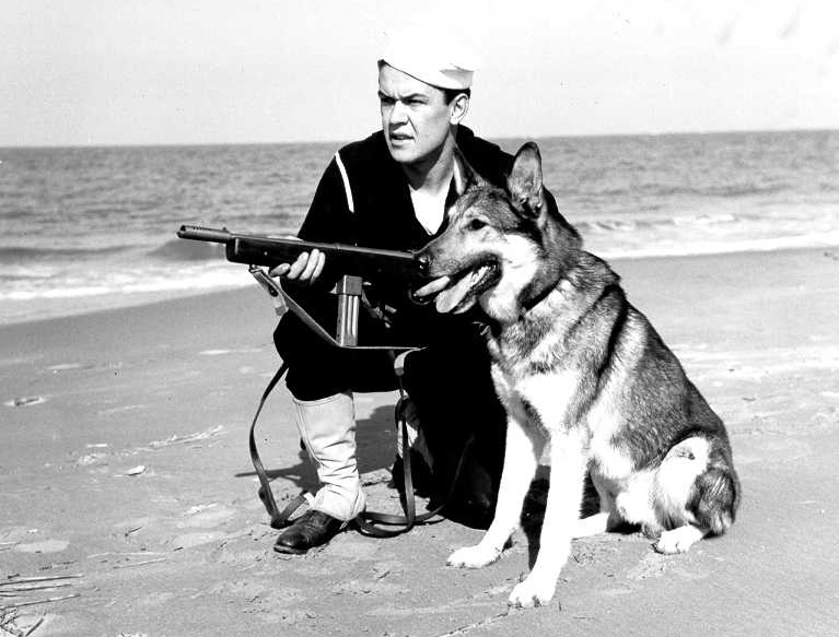 Сотрудник Береговой охраны США с «Рейзингом» и служебной собакой.